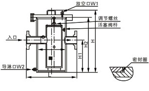 直通防內(nèi)漏籃式過濾器結(jié)構圖